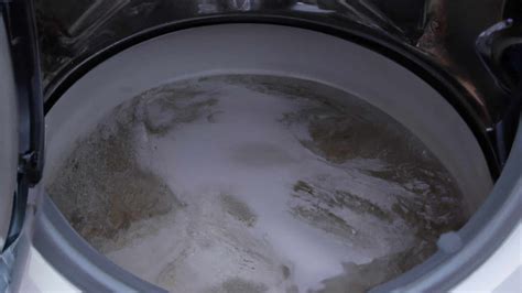 How To Fix Water Leaking From Washing Machine at Glenn Ledoux blog