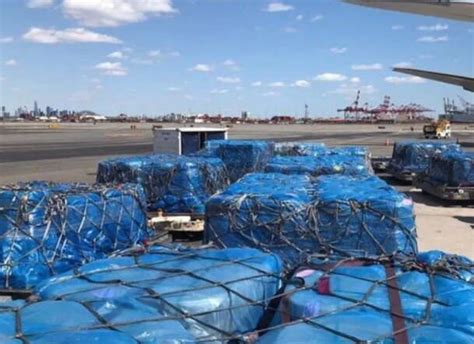 Export a Large Pack 的图像结果