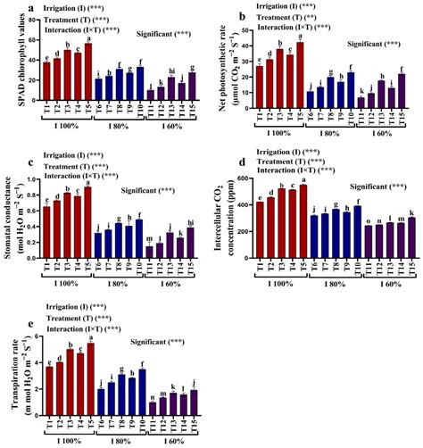 Synergistic Effects of Kaolin and Silicon Nanoparticles for ...