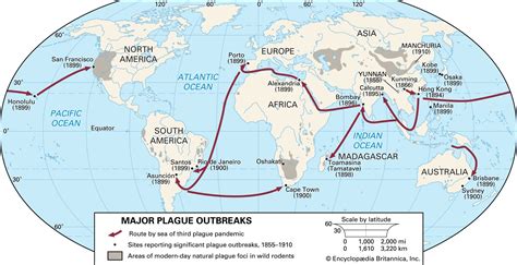 Black Plague World Map