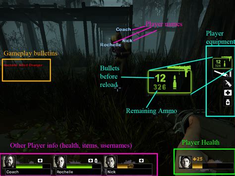 Left 4 Dead 1 GUI 的图像结果