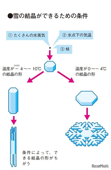 Image result for Grade 5 Module 2 Lesson 5 Homework