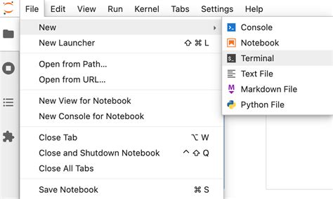 Python Notebook Terminology 的图像结果