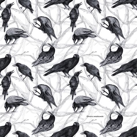 Image result for Crow Pattern-Free