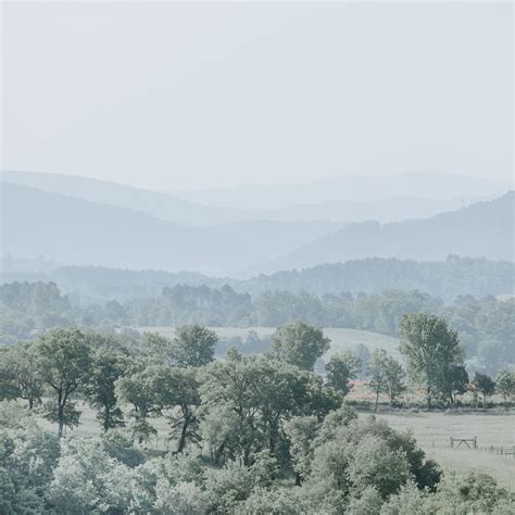 Download wallpaper 2780x2780 hills, trees, fog, horizon, landscape ipad ...