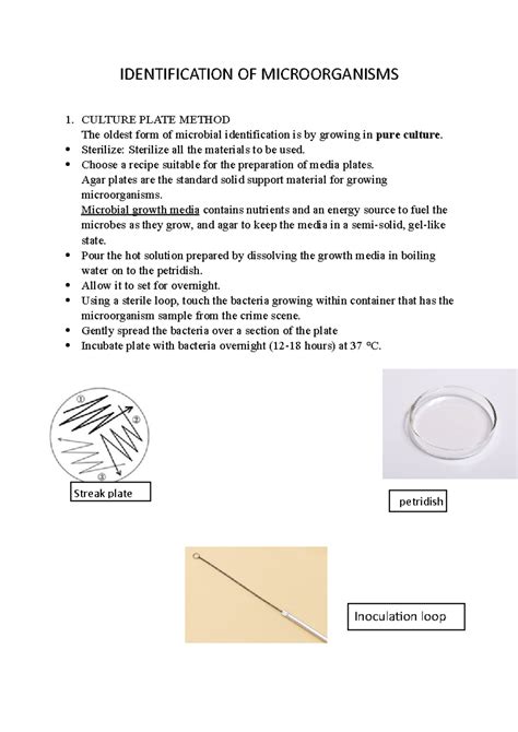 Identification OF Microorganisms - IDENTIFICATION OF MICROORGANISMS 1 ...