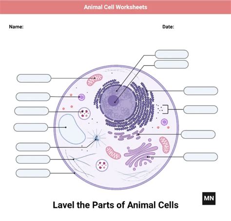 Animal Cell Biology 的图像结果