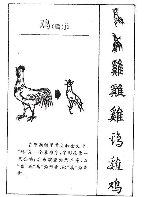 鸡|鸡的含义、部首、拼音、五行、笔画、笔顺、鸡字康熙字典解释