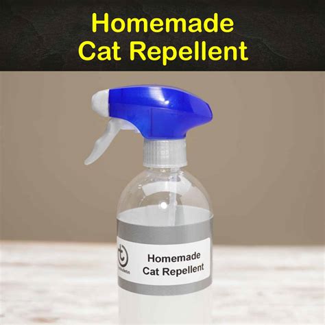 Best Outdoor Cat Repellent Diy at Kathryn Ono blog