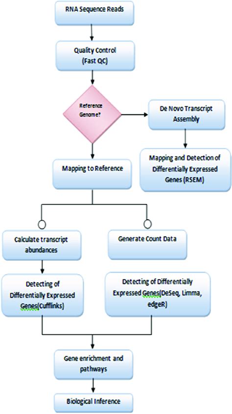 RNA Sequencing 的图像结果
