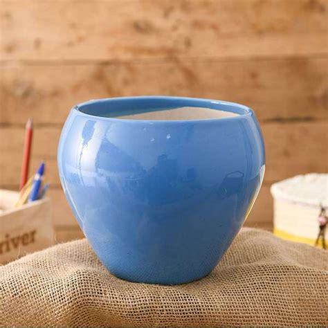 Buy 5.7 inch (14 cm) Apple Round Ceramic Pot (Blue) (set of 2) online ...