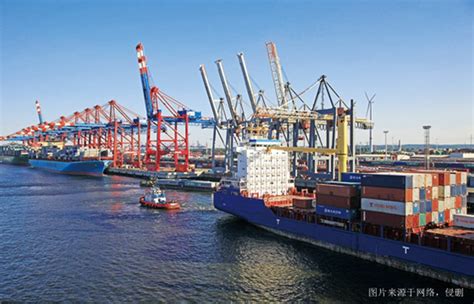 上海进口代理报关公司介绍报关流程 - 上海货代 - 上海天鸣国际货物运输代理有限公司