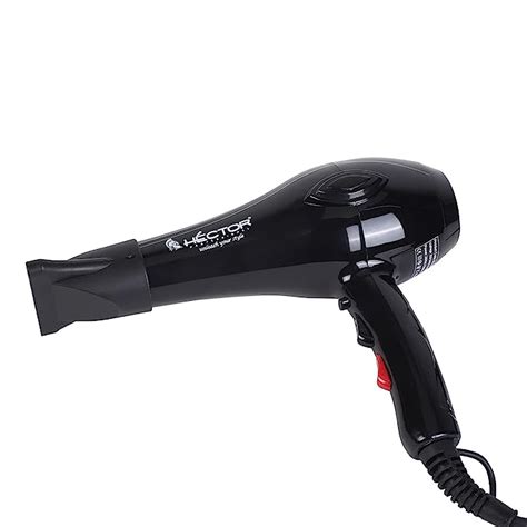 Hector Professional 2000W Pro Touch Hair Dryer : Amazon.in: Beauty