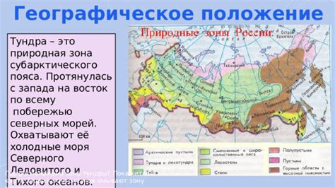 Презентация по окружающему миру 4 класс. Зона Тундры.