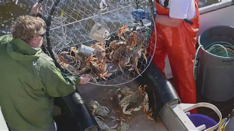 What's behind Oregon's $68M a year Dungeness crab industry | kgw.com