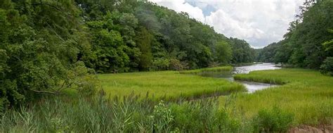 Yorktown Tourism (2023): Best of Yorktown, VA - Tripadvisor