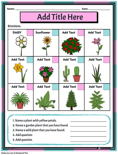 Parts Of A Sunflower And Their Functions Worksheet Pdf - Infoupdate.org