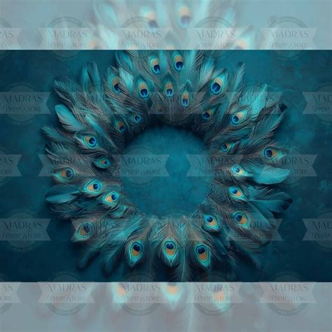 Peacock Palette - Printed Backdrop - Fabric - 3.5 by 5 feet – Madras ...