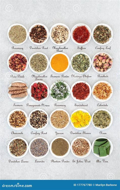 Natural Skin Care Herbal Medicine Collection Stock Photo - Image of ingredient, collection ...