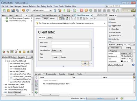 Netbean Debugger Tutorial 的图像结果