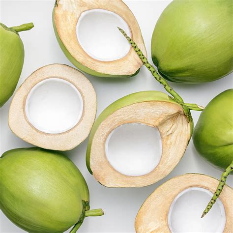 Florida Fresh Coconut, Organic Young, Buy Green Coconuts