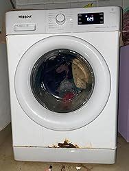 Whirlpool 8 kg Inverter Fully Automatic Front Load Washing Machine ...