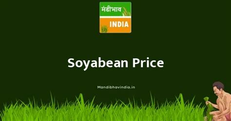 Soyabean Market Price Today [ 26 Feb 2026 ] | Latest Market Rates