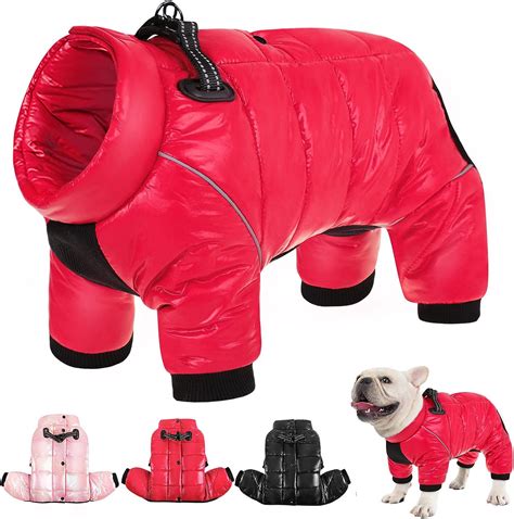 6 Best Winter Dog Coats and Dog Snowsuits for Wheelchair Pets - Dog ...