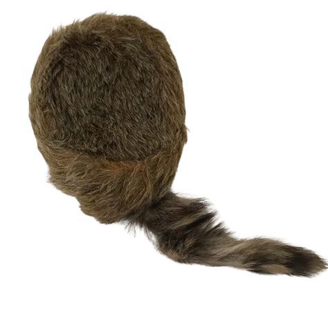 Vintage Davy Crockett / Daniel Boone Coonskin Hat Size Youths L Brown