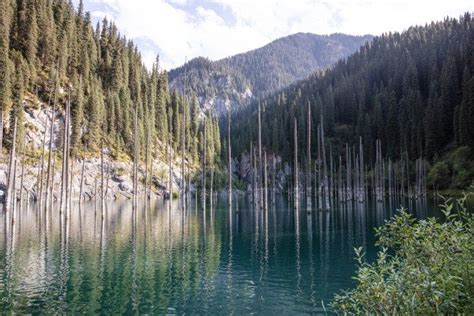 Image result for JavaScript Let Code