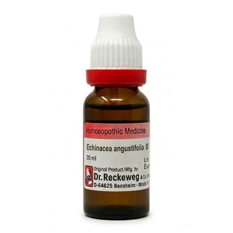 Dr. Reckeweg Echinacea ang Q Mother Tinctures, Buy Dr. Reckeweg ...