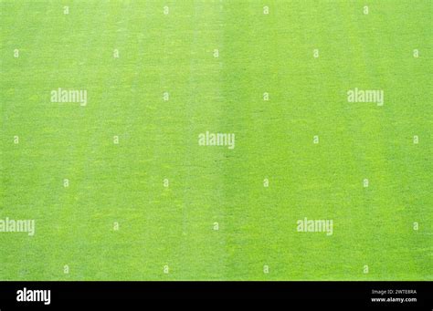 Natural Grass Field 的图像结果