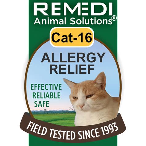What Is Best For Cat Allergy Relief at James Jain blog