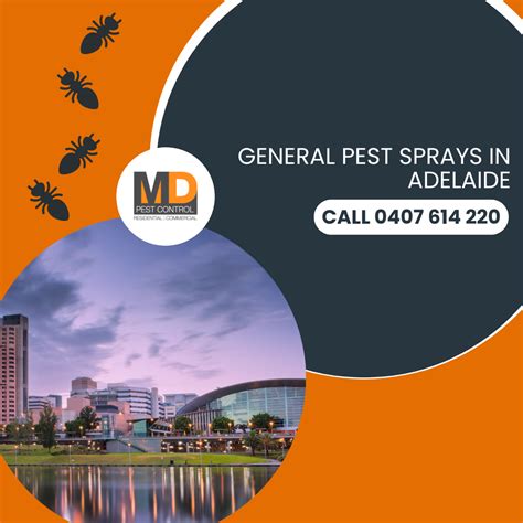 General Pest Sprays in Adelaide: Keep Ants, Spiders & Roaches Out for Good - MD Pest Control
