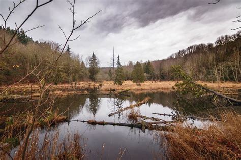 Lord Hill Regional Park by Snohomish River via Highway 2 / 洛德山丘