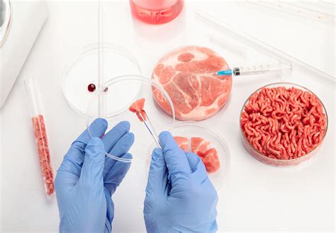 Lab-Grown Meat Bans in 2025: Which States Are Restricting Cultivated ...