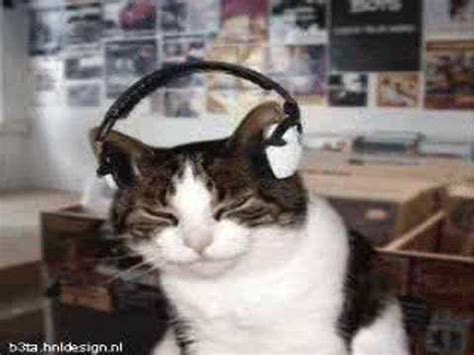 Image result for Cat Generator Control Module