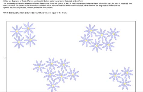 Image result for Types of Distribution Patterns