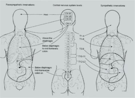 Image result for Common Compensatory Pattern