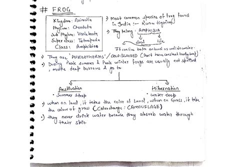 FROG & COCKROACH Morphology & Anatomy Notes (Biology 101) - Studocu