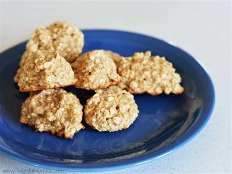 Oatmeal Cookies Easy No Egg at Joel Donovan blog