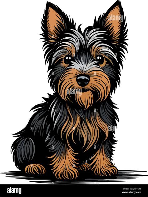 Young jack black Stock Vector Images - Alamy