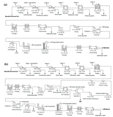 Production of Oil and Phenolic-Rich Extracts from Mauritia flexuosa L.f ...