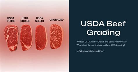 USDA Beef Grading