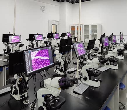 Graphics Card Under Microscope 的图像结果