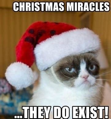 25+ Christmas Miracle Meme in 2026