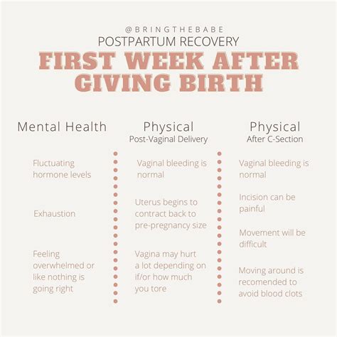 The First Week After Giving Birth: Info Sheet for Postpartum Recovery