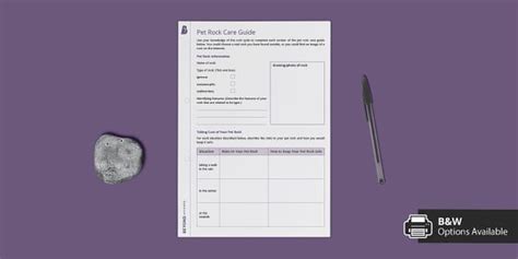 Pet Rock Care Guide Homework Worksheet / Worksheet - Twinkl