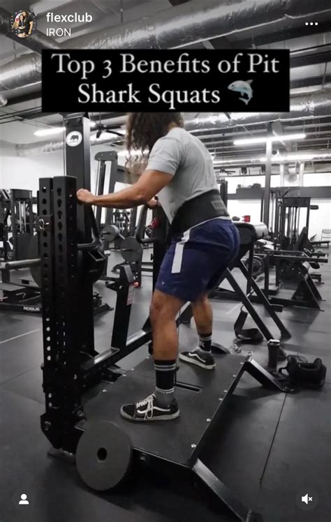 The Top 3 Benefits of Belt Squats (Shark Pit Squats) for Powerlifting ...