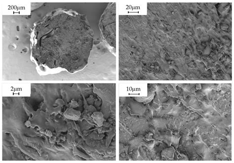 Mechanical, Thermal and Morphological Study of Bio-Based PLA Composites ...